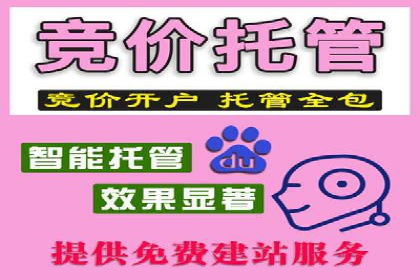 SEM优化师案例：精准营销，助力企业业绩增长